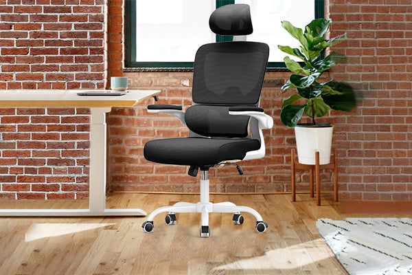 Ergonomic Office Chair that Relieves Back Pain